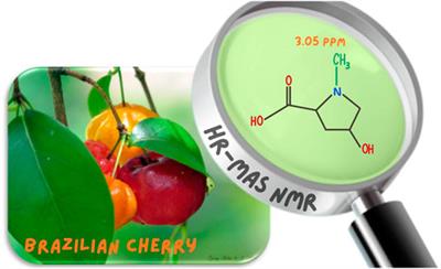 Is there creatine in plants? The true compound behind the 1H NMR signal at 3.05 ppm in plant extracts